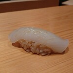 鮨 さかい - アオリイカ