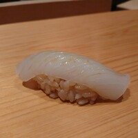 鮨 さかい - アオリイカ