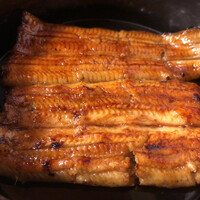 うなぎ秋本 - うな重梅