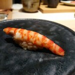 鮨 唐島 - 車海老