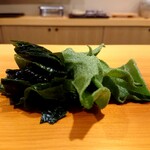 鮨 あらい - わかめとアイスプラント