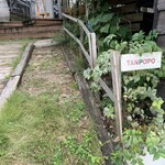 TANPOPO - 