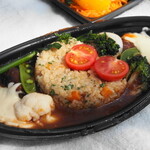 カシュ カシュ - 