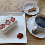 ACARICAFE - 