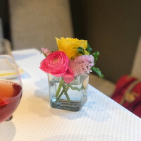 ジョンティ アッシュ - 