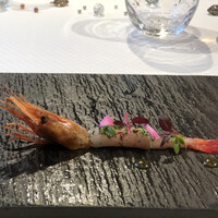 ジョンティ アッシュ - 