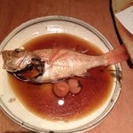 朝獲れぐあん - 