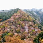 吉野葛 八十吉 - お店の前からの絶景っ！