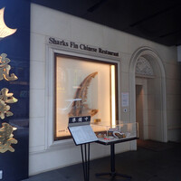 筑紫樓 銀座店 - 