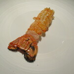 蒼 - 相模湾・長井の赤座海老