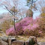 ベーカリーツキヨシ - 