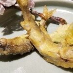 馳走 啐啄一十  - ②稚鮎(長野県天竜川産)の天麩羅
      生きた稚鮎ならではのほのかな苦味、そして薫り、最後に甘み。
      絶妙な春の喜びです♪