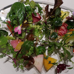 レフェルヴェソンス - 