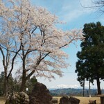 Echigo Kawaguchi Sa-Bi Sueria Ku Darisen Fu-Doko-To - 白い雪帽子と桜