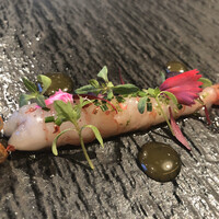 ジョンティ アッシュ - 