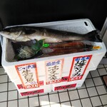 廻鮮寿司 塩釜港 - 