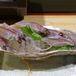 葵 - 生ホタルイカ