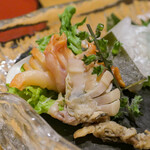 はも・天然ふぐ 銀座 福和 - 