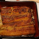 Unagi Kappou Izuei Umegawatei - 