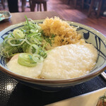 Marugame Seimen - 