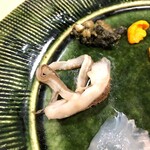 うを徳 - 鳥貝紐