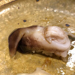 うを徳 - 兵庫県　生鳥貝