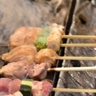 Toritori Kenkyu Dan, Fukuoka, Japan