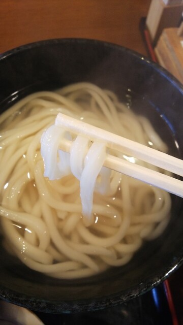 つるめん 桂 うどん 食べログ