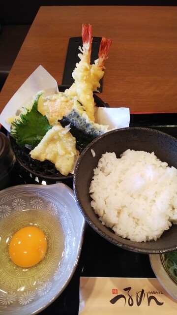 つるめん 桂 うどん 食べログ