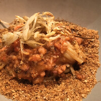 セルサルサーレ - 