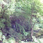 サントリー山崎蒸溜所 - 敷地内は緑であふれています