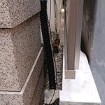 キッチン すみっこ - 丸々と太った野良猫。大田区が牧歌的である生きる証人。