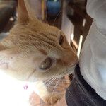 アマノ - きなこ「・・・（ｸﾝｶｸﾝｶ）」