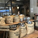 マウント コーヒー - 