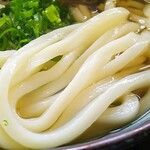 Serufuu Don Sakaide - かけうどん大380円 とり天120円