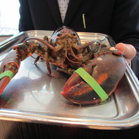 オザミトーキョー - お奨めですと見せられたカナダ産オマール海老