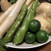 スガラボヴィー - 