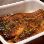 Unagi Fujita - 