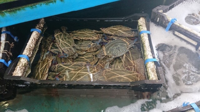 竹崎海産 たけさきかいさん 多良 魚介料理 海鮮料理 食べログ 竹崎海産 たけさきかいさん 多良 魚介料理 海鮮料理 食べログ