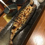 春壱 - 
