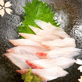 h Jizake To Washiyoku Hashigoya - すずき刺身。最近のすずきは、くせが無く、淡白な味わいに適度な旨味が加わり、おすすめです！