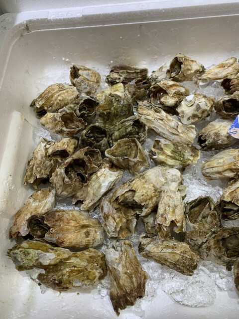 田清魚店 本店 - 仙北町（その他）の写真