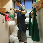 エビスエスクラッシコ - 何かお手伝いしましょうか