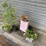 こうかいぼう - 