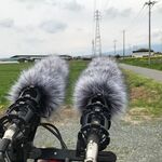 ビストロ セレニテ - 蕎麦粉のサラダクレープ　580円　テイクアウト価格