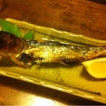 赤とんぼ - 