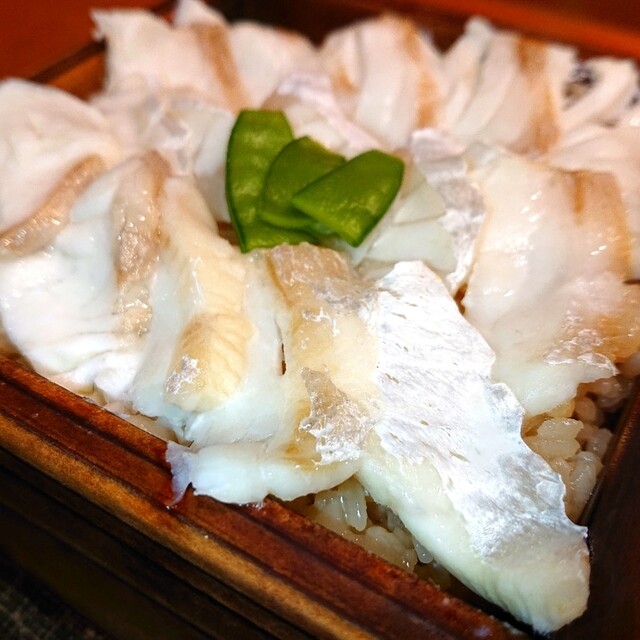 閉店 麻布はんなり 六本木 割烹 小料理 食べログ 閉店 麻布はんなり 六本木 割烹 小料理 食べログ