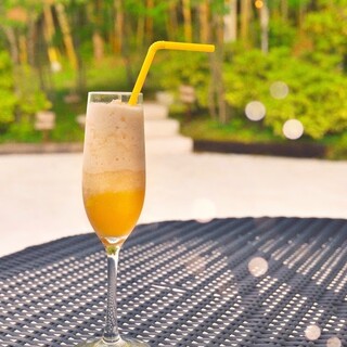 シェルターガーデン_1