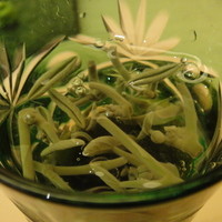 鮨 生粋 - 蓴菜と石蓴