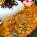 五黄の寅 - 「南インド風 鶏上湯カレー」と 「サバ大根の和出汁カレー」のあいがけ